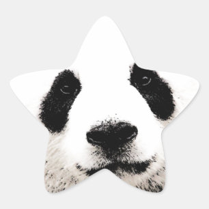 Panda Star Sticker