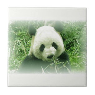 Panda Tile