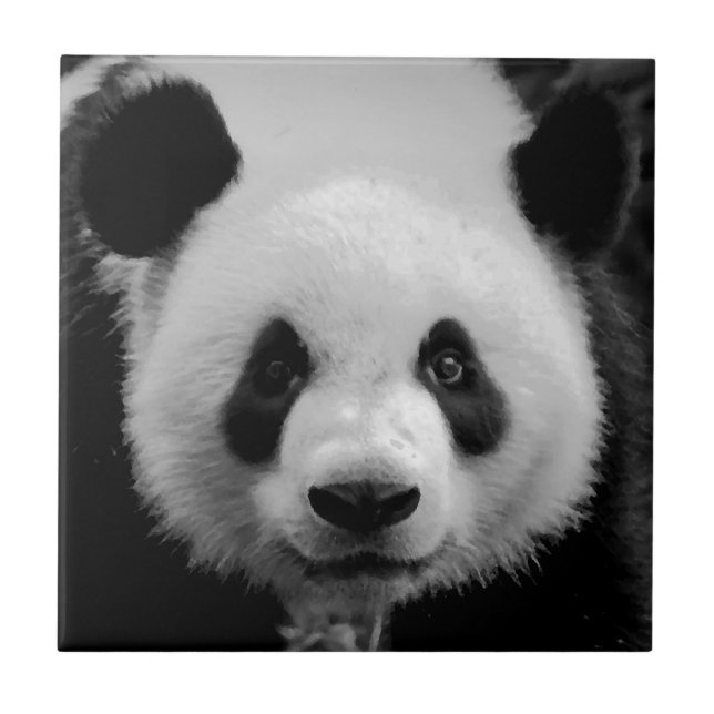 Panda Tile (Front)