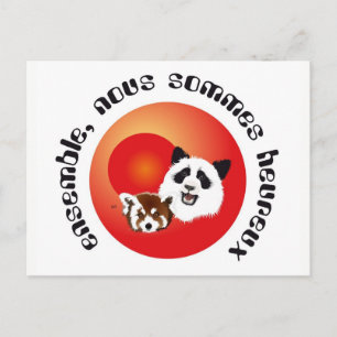 Panda Treffen Postkarte Postcard