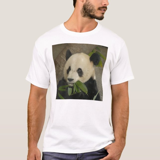 PandaM014 T-Shirt (Front)
