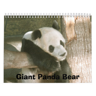 PandaM016, Giant Panda Bear Calendar