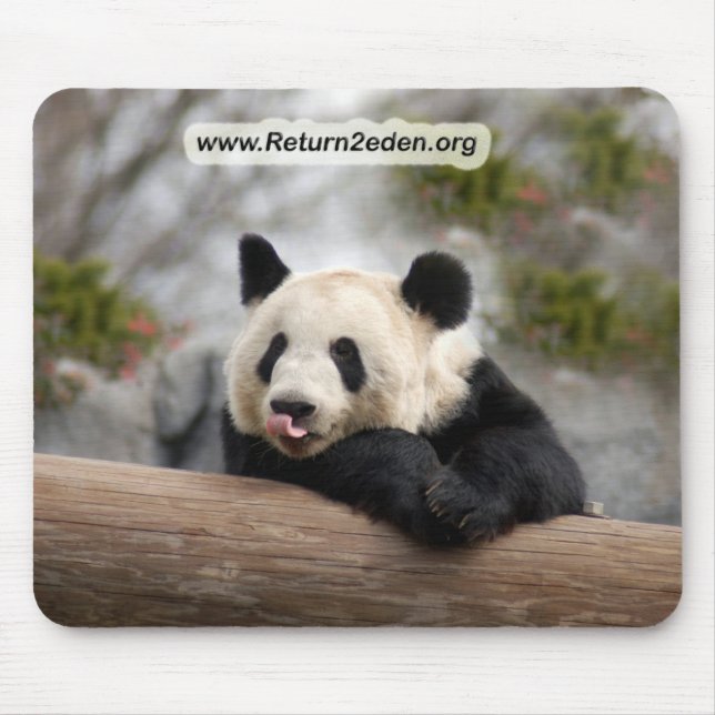 PandaM021 Mouse Mat (Front)