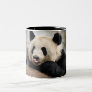 PandaM021 Two-Tone Coffee Mug