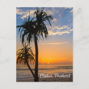Pandanus tree at sunset,  Laypang Beach, Bang Tao, Postcard