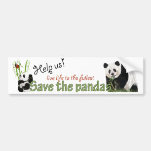 pandas bumper sticker