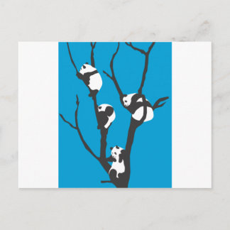 Pandas Hangin' Out Postcard