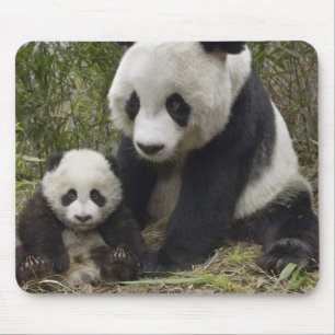 pandas mouse mat
