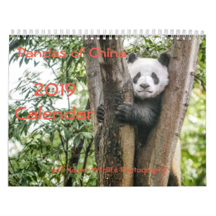 Pandas of China, 2019 Wall Calendar