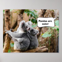 Pandas or Koalas - Which are cuter?