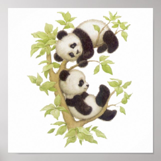 Pandas Playing in a Tree Poster (Front)