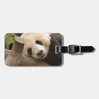 PandaSD010 Luggage Tag