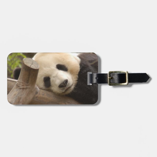 PandaSD010 Luggage Tag (Front Horizontal)