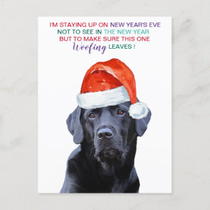 Pandemic New Years Eve Quarantine Dog Holiday Postcard