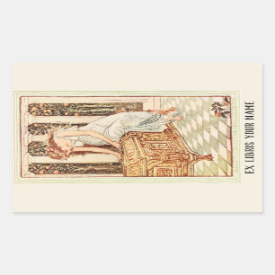 Pandora's Box Book Plate Rectangular Sticker