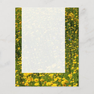 Panel 0114 - Field of Yellow Daisies Flyer