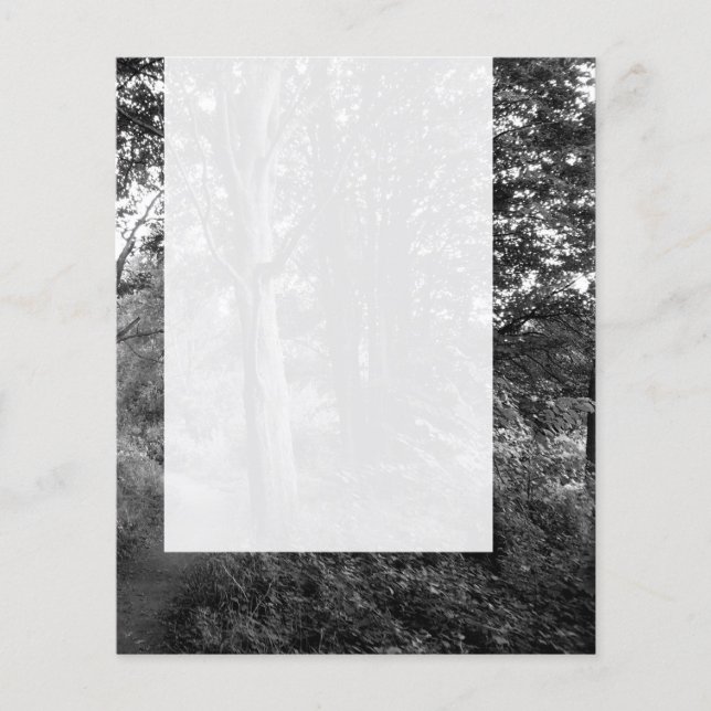 Panel 013 - In the Woods Flyer (Front)