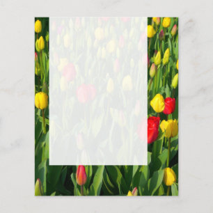 Panel 021 - Tulips Flyer