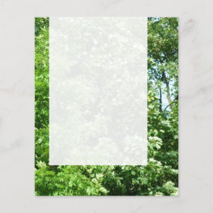 Panel 024 - Summer Breeze Flyer