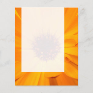 Panel 026 - Orange Marigold Flyer