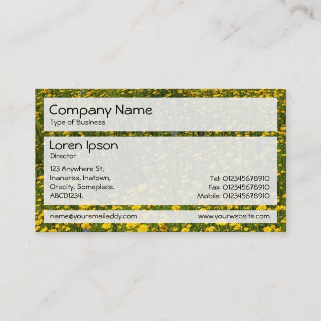 Panels 02 - Bed of Yellow Daisies Business Card (Front)
