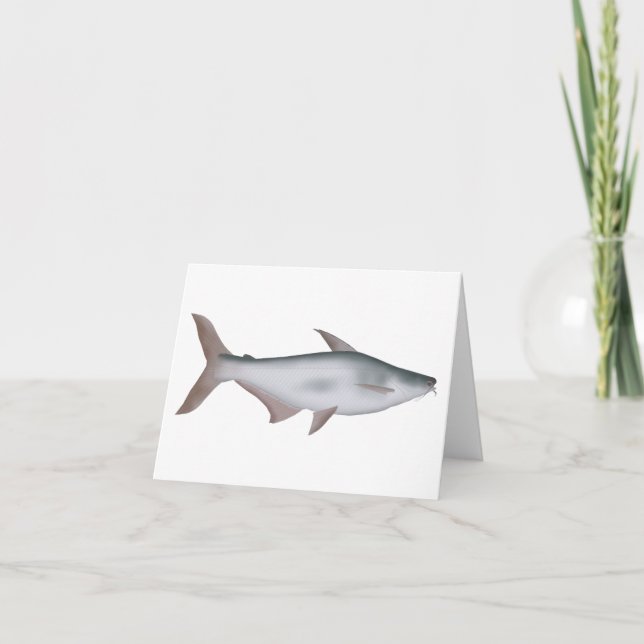 Pangas Catfish Note Card (Front)