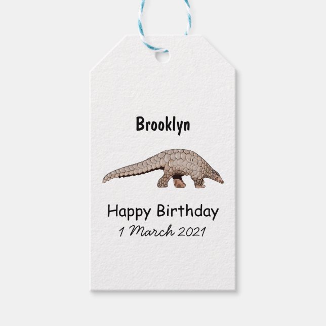 Pangolin cartoon illustration gift tags (Front)