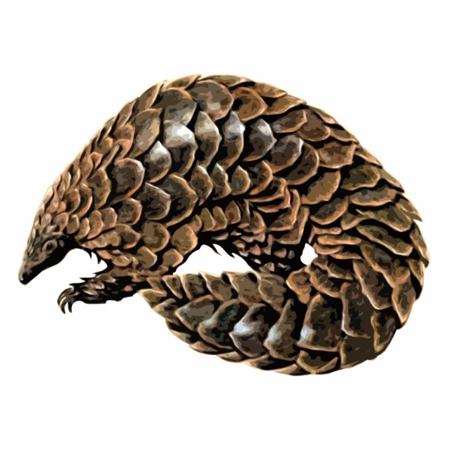 Pangolin Cutout Magnet/Sculpture Photo Sculpture Magnet (Front)