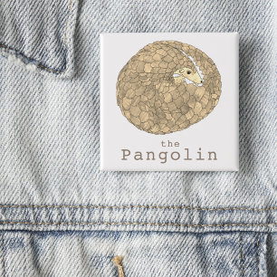 Pangolin Endangered Species Animal Rights Activism 15 Cm Square Badge