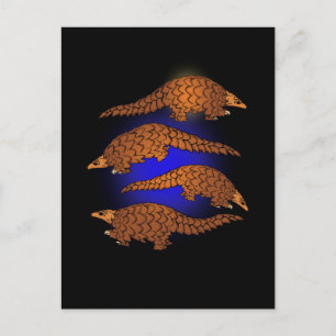 Pangolin Gift Men Pangolin Lover Women Pangolin Postcard