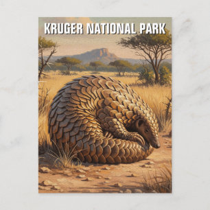 Pangolin in Kruger National Park South Africa Postcard