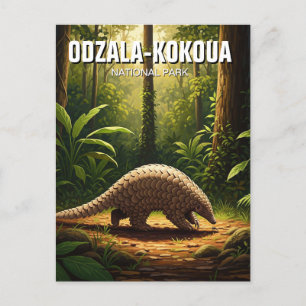 Pangolin in Odzala-Kokoua National Park Congo Postcard