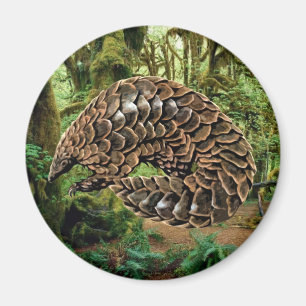 Pangolin Magnet