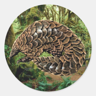 Pangolin Sticker