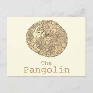 Pangolin Wildlife Endangered Species Animal Art Postcard