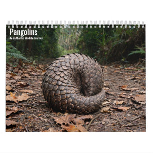 Pangolins 2027 Wall Calendar