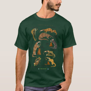 Pangolins of the World T-Shirt