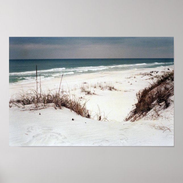 Panhandle Beach Poster (Front)