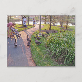 panhandling school postcard