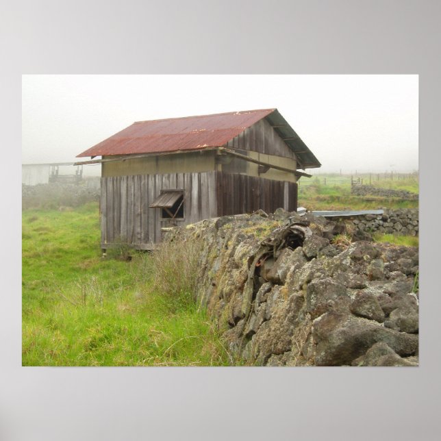 Paniolo House Poster (Front)