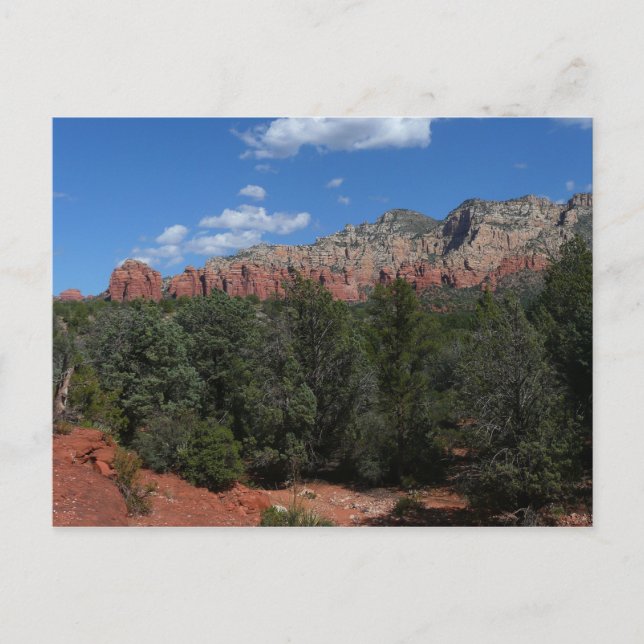 Panorama of Red Rocks in Sedona Arizona Postcard (Front)