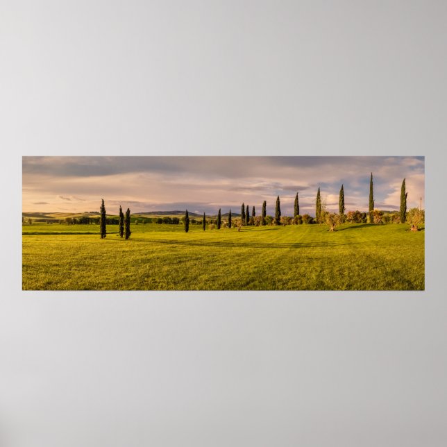 Panorama of Tuscan landscape Poster (Front)
