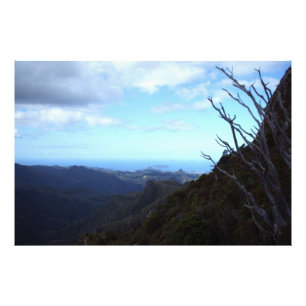 Panorama view of Coromandel Forest Park Photo Print