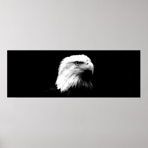 Panoramic Bald Eagle American Eagle Poster Print