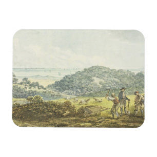 Panoramic 'before' view, from the Red Book for Ant Magnet