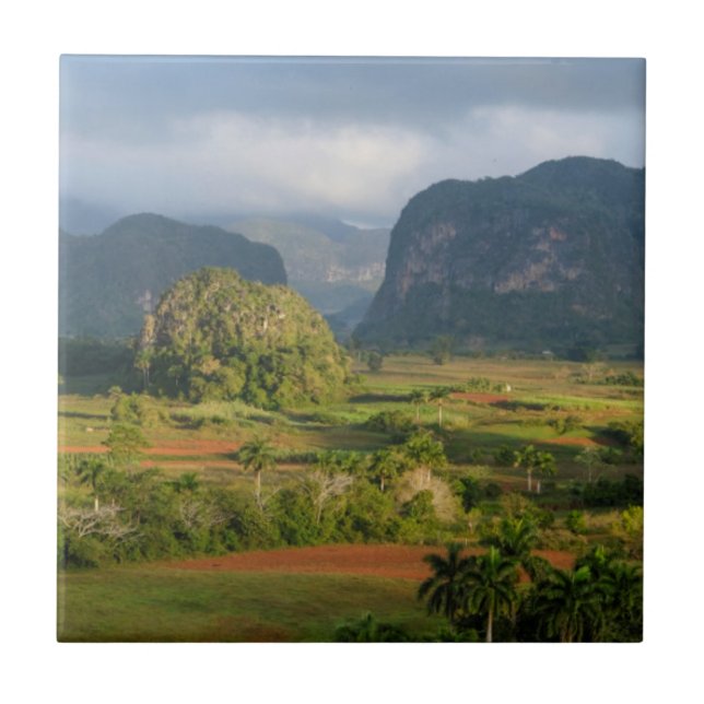 Panoramic valley landscape, Cuba Tile (Front)