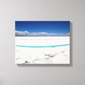 Panoramic View Of Argentinian Salt Flats Canvas Print