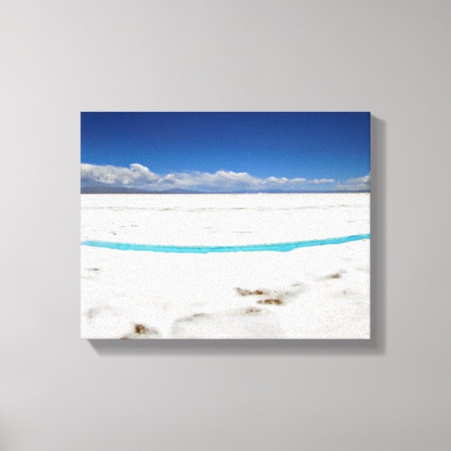 Panoramic View Of Argentinian Salt Flats Canvas Print (Front)