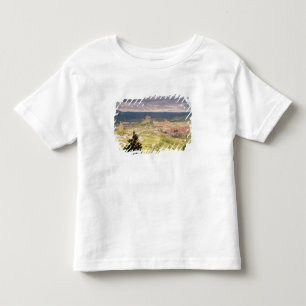 Panoramic view of Le-Puy-en-Velay Toddler T-Shirt