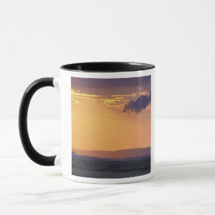 Panoramic view of single acacia tree at mug